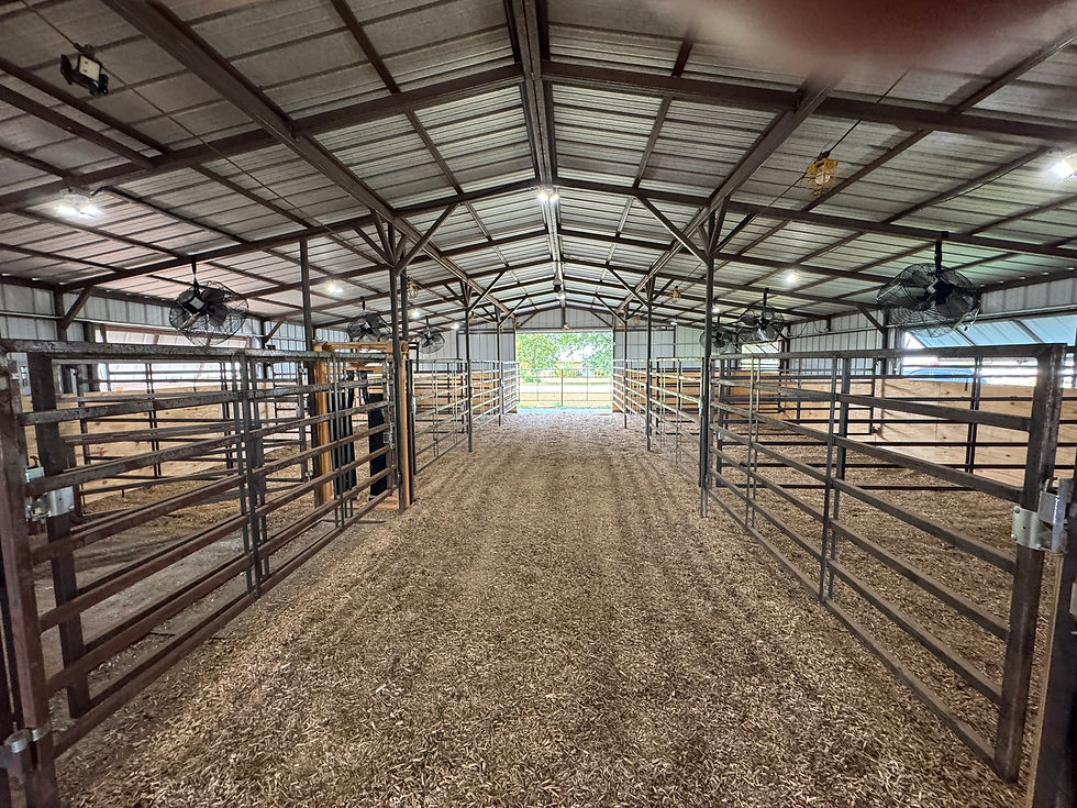 Alley and 4 Stalls on each side