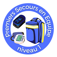PSE1 Logo.png