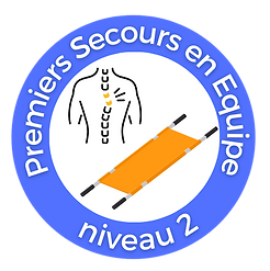 PSE2 Logo