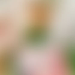 น้องสโนว์ทานอาหารพี่ฮาวด์มาตั้งแต่เกิด ตั้งแต่ 1 ถุงกิน 3 วัน ตอนนี้กินวันละถุงล้าวว 😆