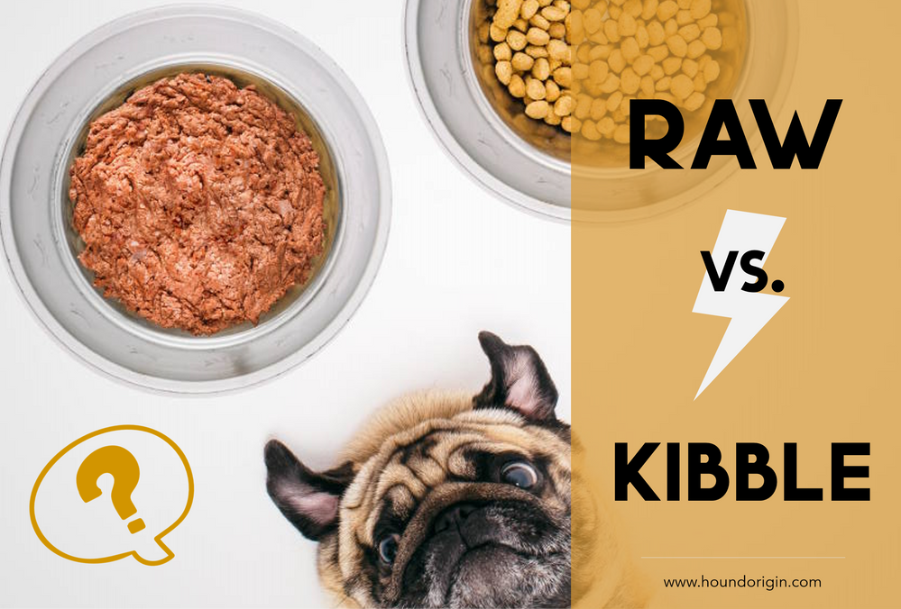 RAW VS. KIBBLE Why fresh is always best!