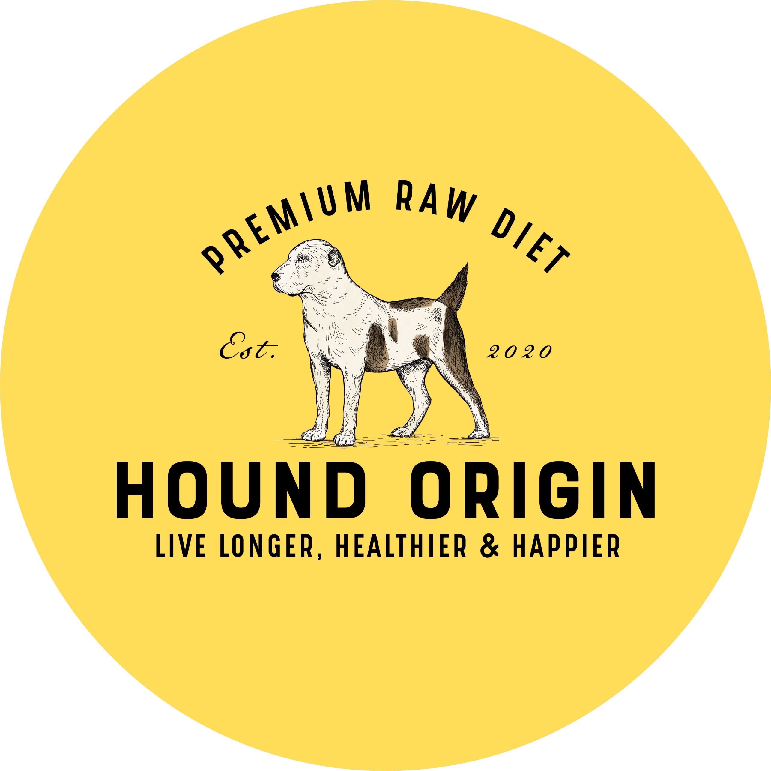 รูปภาพนักเขียน: Hound Origin