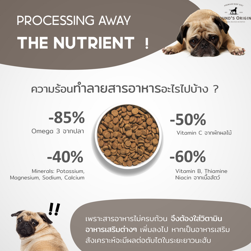 RAW VS. KIBBLE Why fresh is always best!