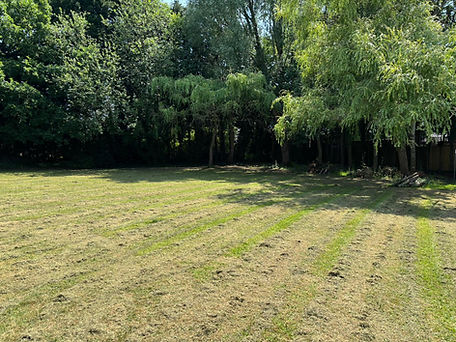 PHOTO-2025-06-19-13-41-04 4.jpg