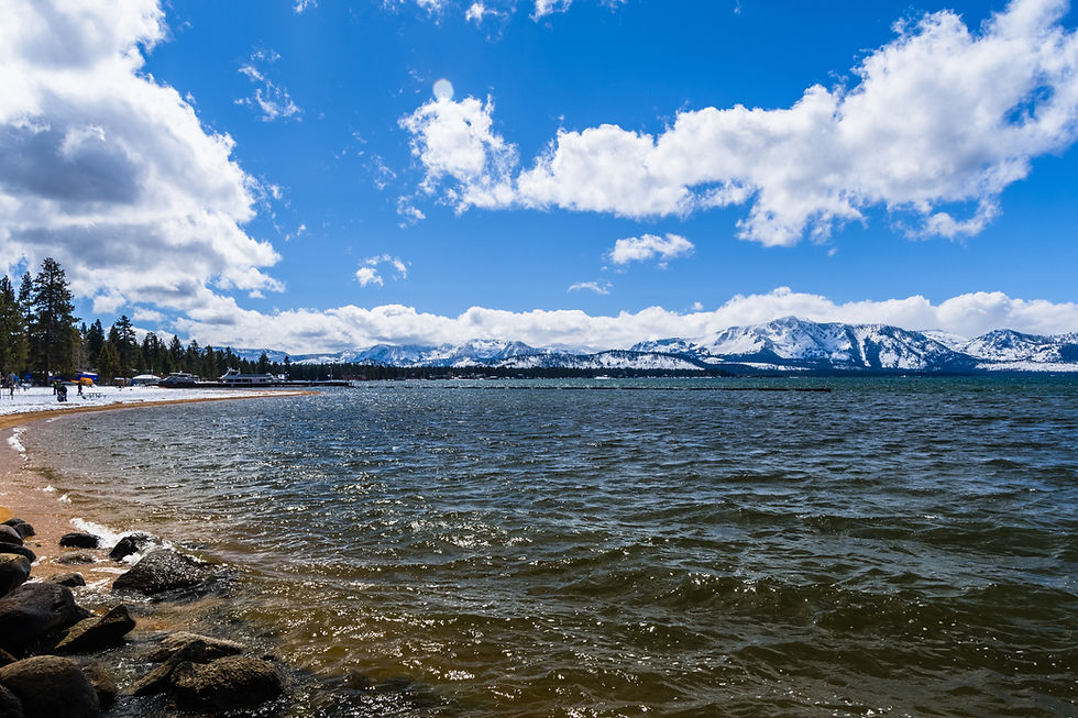 shutterstock_1068157112.jpg