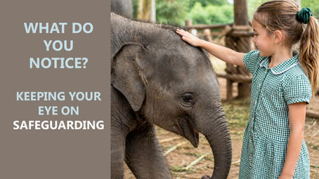 A girl patting an elephant and safeguarding