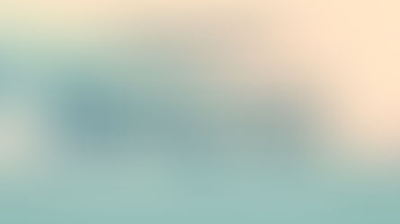 Support Effective Assessments