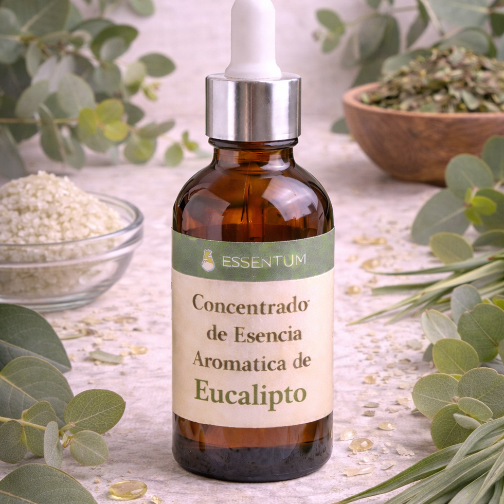 concentrado de esencia de eucalipto