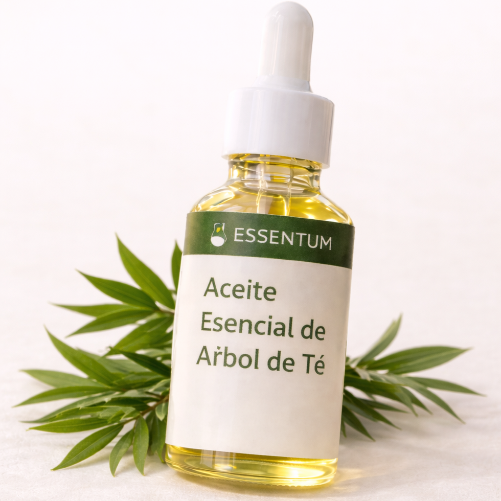 Aceite esencial de árbol de té