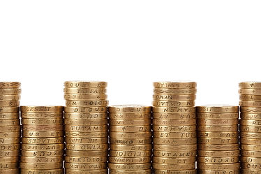 Lawyer Legal Salary Money Coins