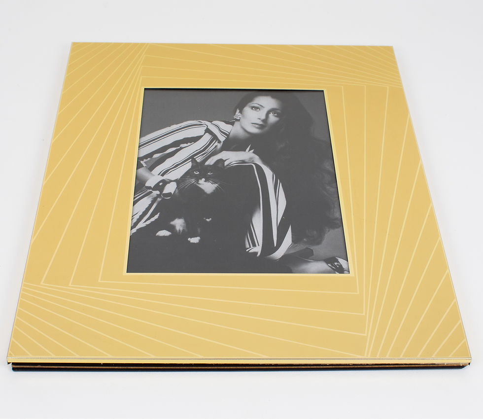 Thumbnail: Umberto Mascagni Gilded Aluminum Picture Frame, Italy 1970s