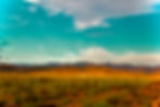 Perhaps, even, various parts of you are walking through the desert alone, and it is your task to go find them.