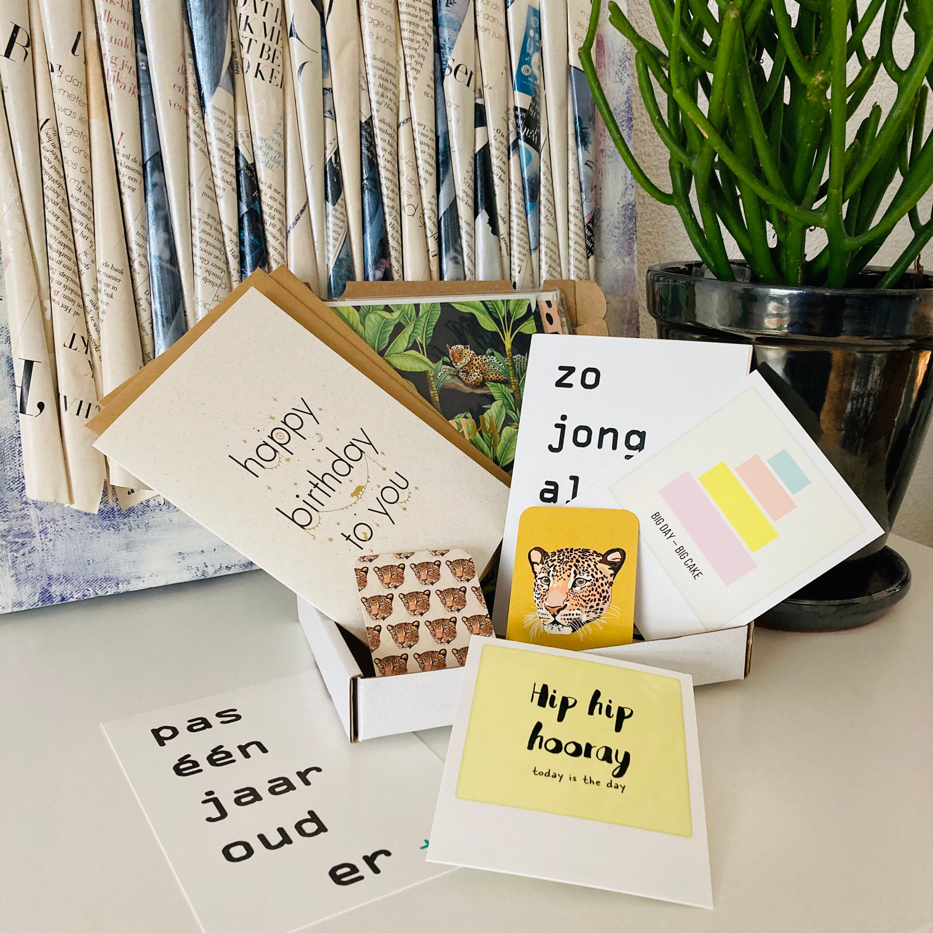 Party Box: Verjaardagskaarten