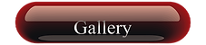 Gallery 24_edited.png