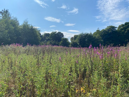 The Field Update