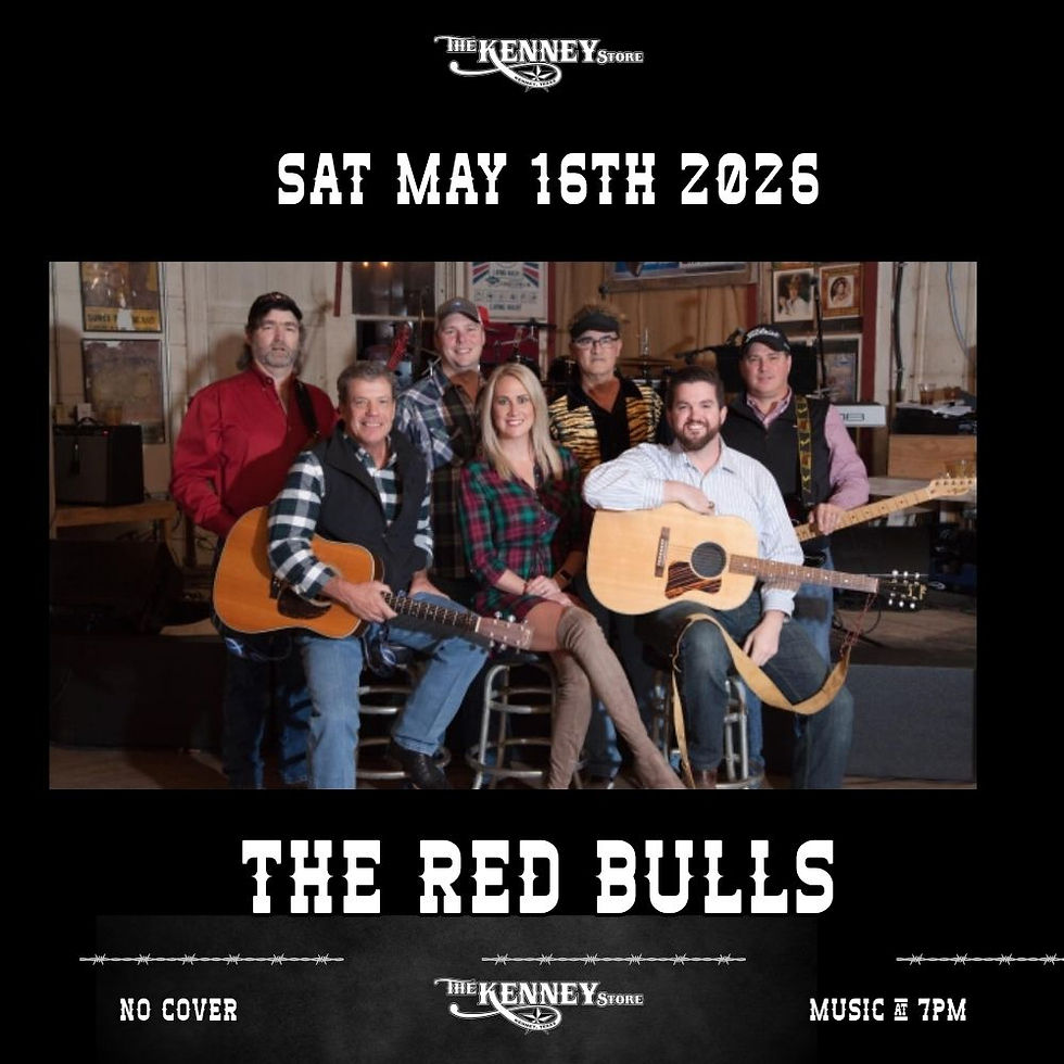 Red Bulls Band Inside Show