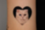 Tattoo of a cat with heterochromia inside a black heart on skin. Cat has one blue and one amber eye, creating a striking contrast.