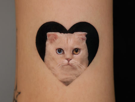 Tattoo of a cat with heterochromia inside a black heart on skin. Cat has one blue and one amber eye, creating a striking contrast.