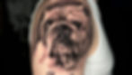Tattoo of a bulldog on a man's arm, with text "Snoop 02-03-2021." Man in a white tank top, dark background, showcasing detailed inkwork.