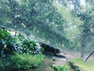 雨は好きですか??
