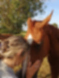 IMG-20210428-WA0003.jpeg