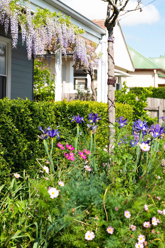Spring gardening! A lovely reminder of how beautiful change can truly be.