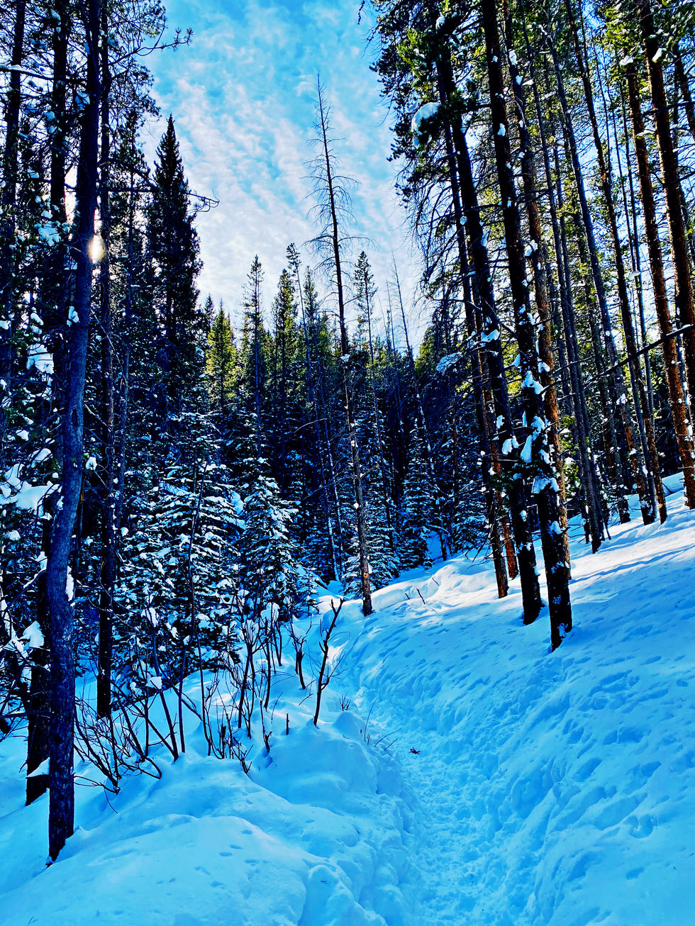 Blue sky pants the snow in blue shadow