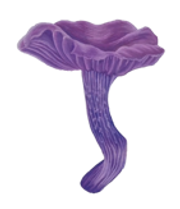 amethyst deceiver.png