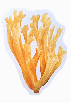 example illustration 1.png