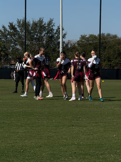 20260213_165733367_iOS