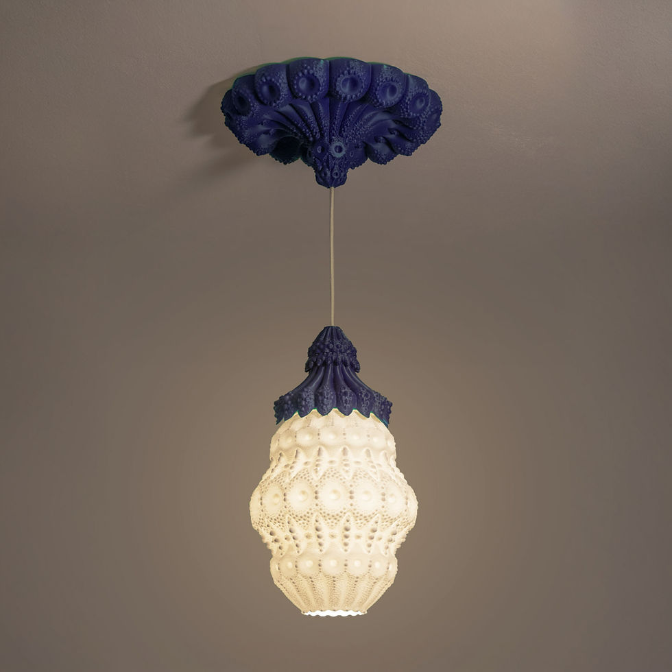 Thumbnail: Hanging Coral