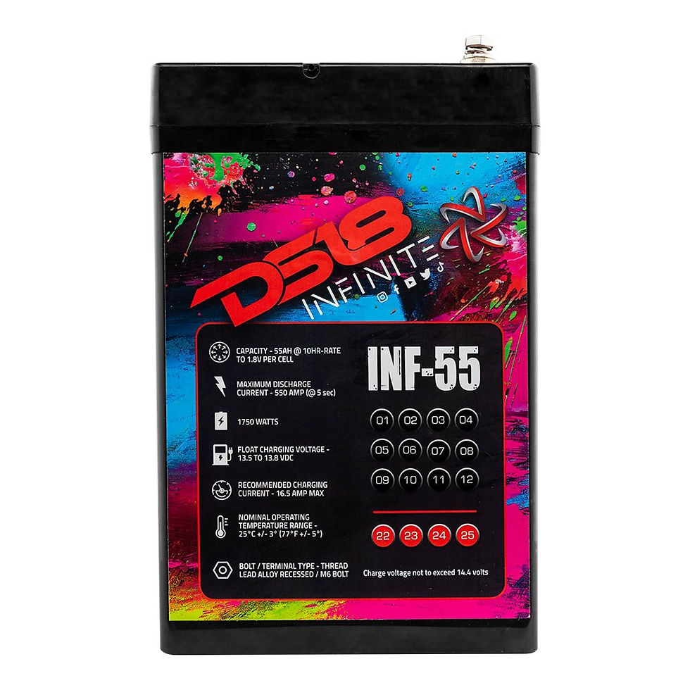 תמונה ממוזערת: INFINITE 55 AH AGM Power Cell Battery