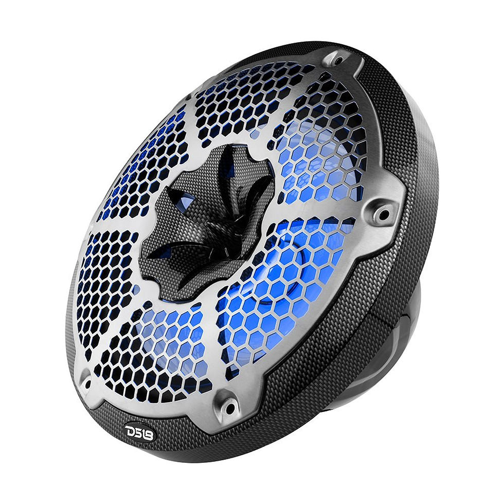 תמונה ממוזערת: NXL 10" 2-Way Coaxial Marine Speaker