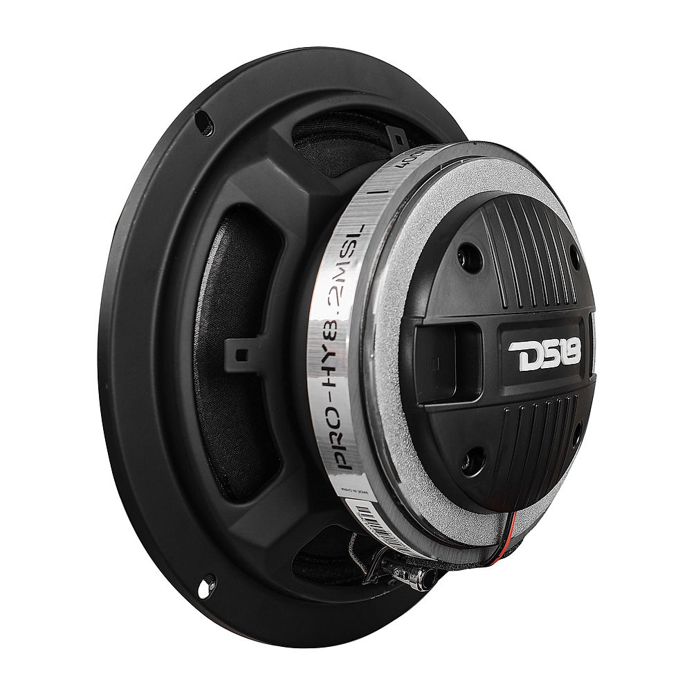 תמונה ממוזערת: PRO 8" Hybrid Slim Loudspeaker