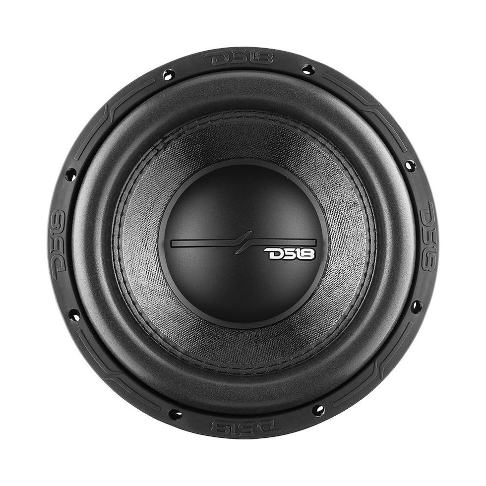 ZR 10" Subwoofer 700 Watts Rms DVC  2-Ohm
