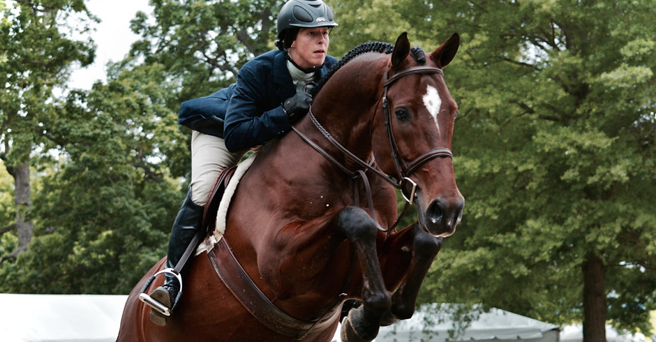 Warmblood horse and rider in the hunter division jumping at Upperville Colt and Horse Show