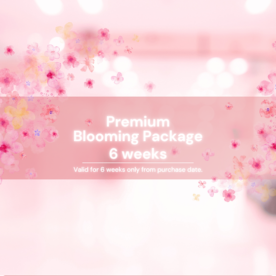 blooming bellies 6 weeks website package.png