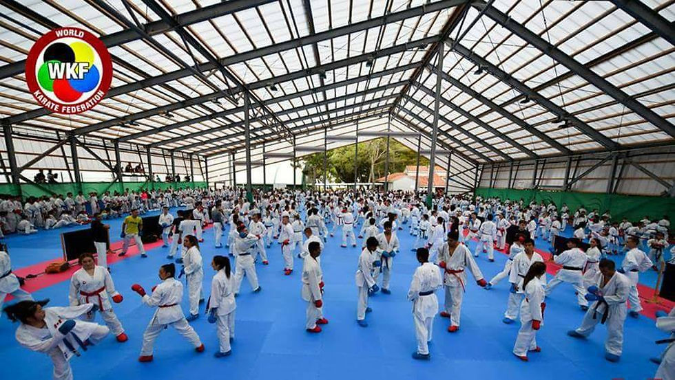 Thumbnail: YC '27' World Karate Report - Executive Summary