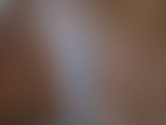 Épi de faîtage en zinc