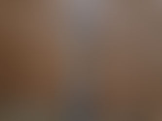 Épi de faîtage en zinc