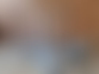 Épis de faîtage en plomb et en zinc