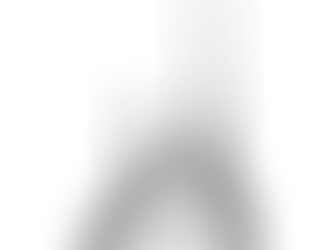 L'Histoire des Girouettes