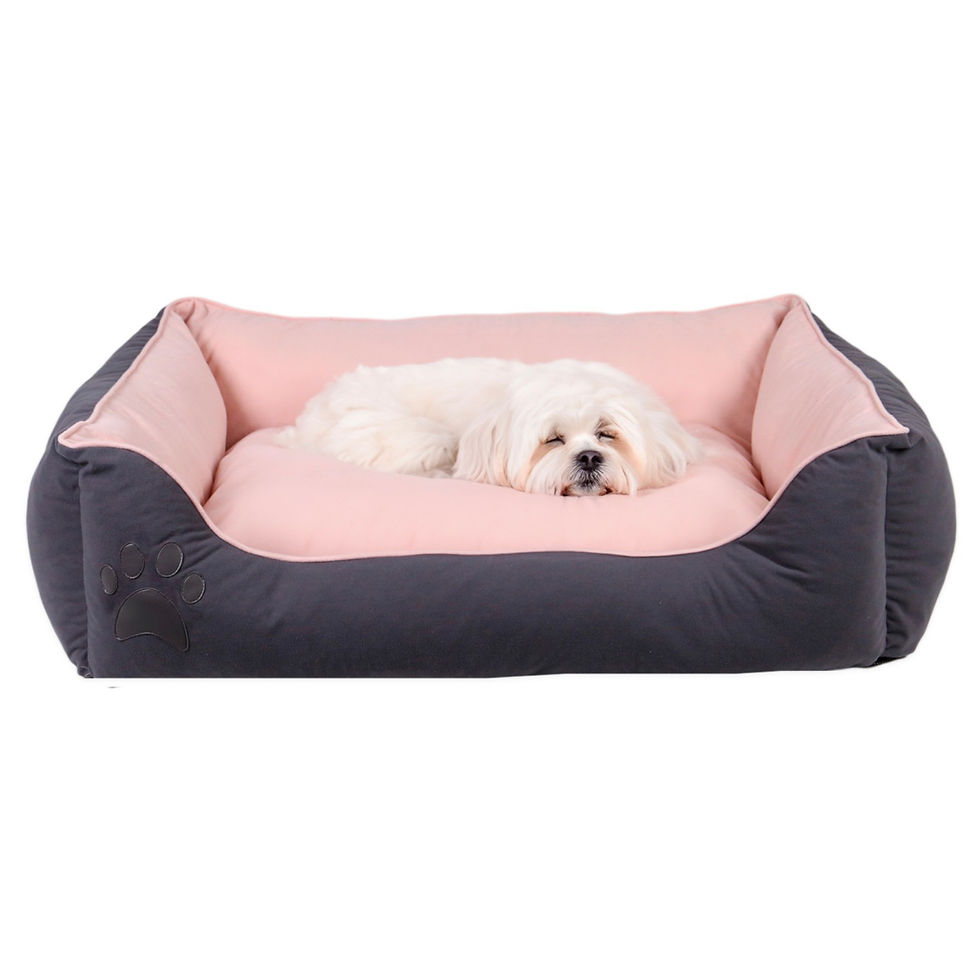 Thumbnail: Lucy Dog & Cat L - Grey, Pink