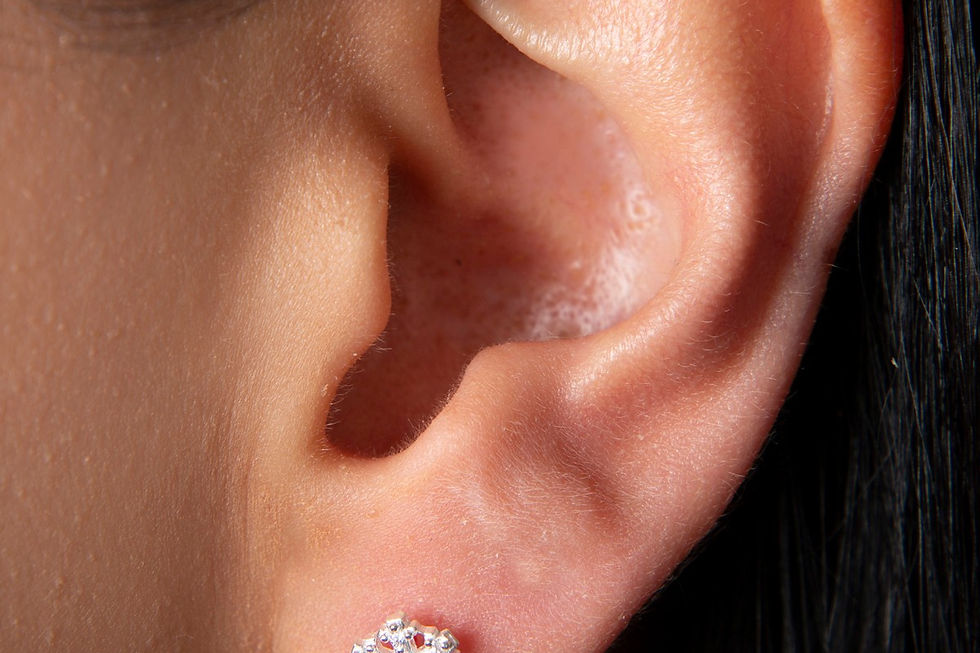 LustraSilv Elegance Earrings