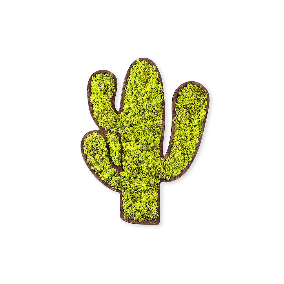 Thumbnail: Cactus