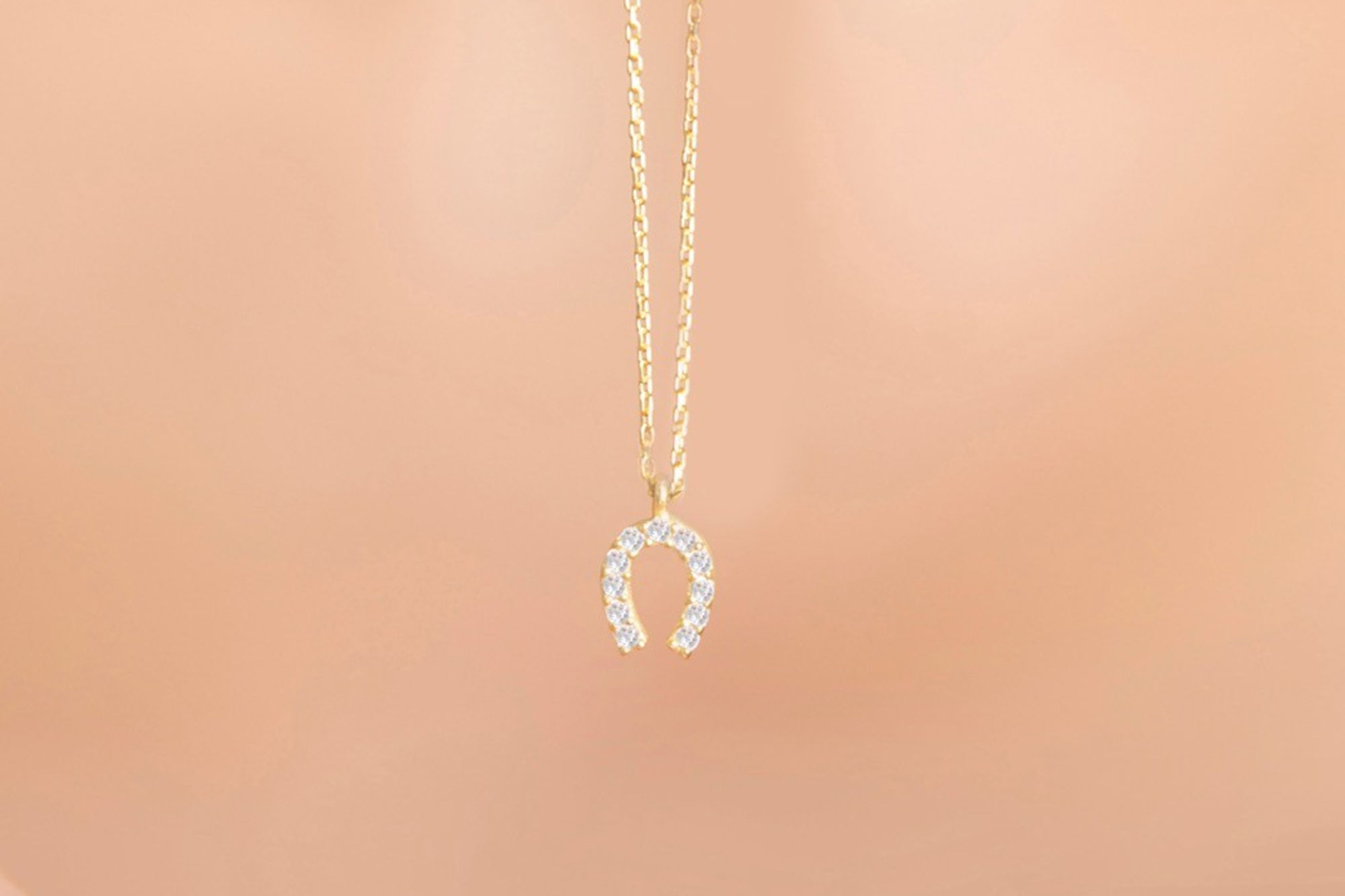 LustraSilv Elegant Charm Necklace