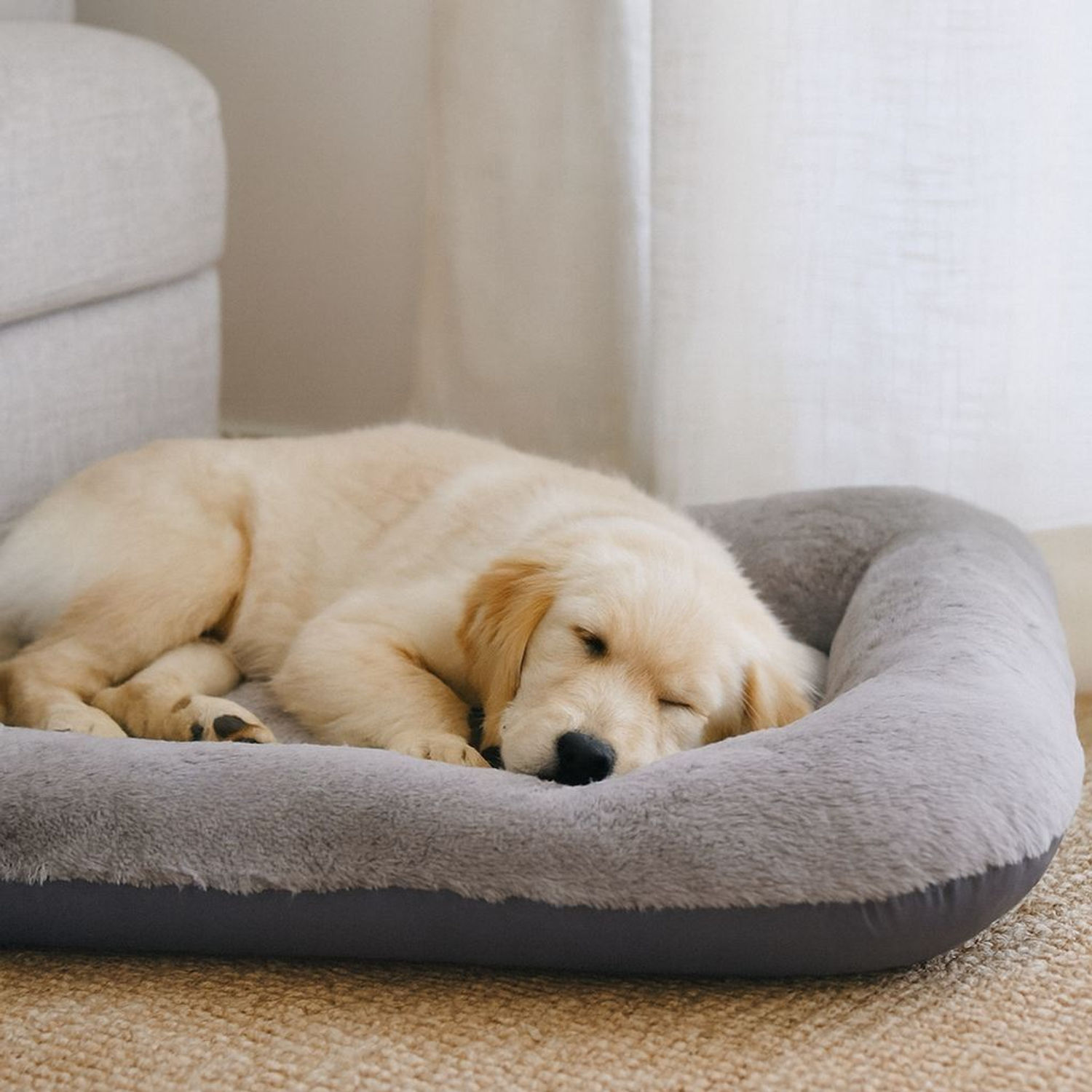 Sally Dog M - Grey