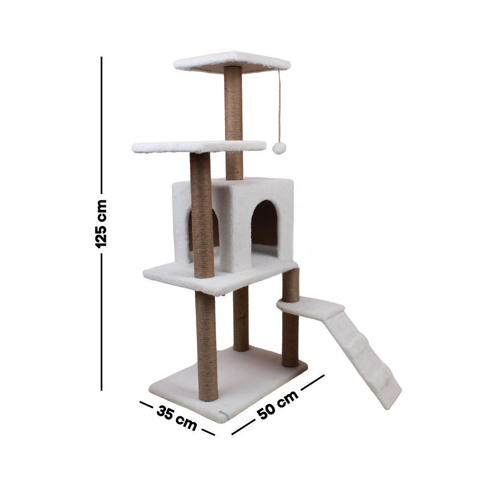 Thumbnail: Arden - White