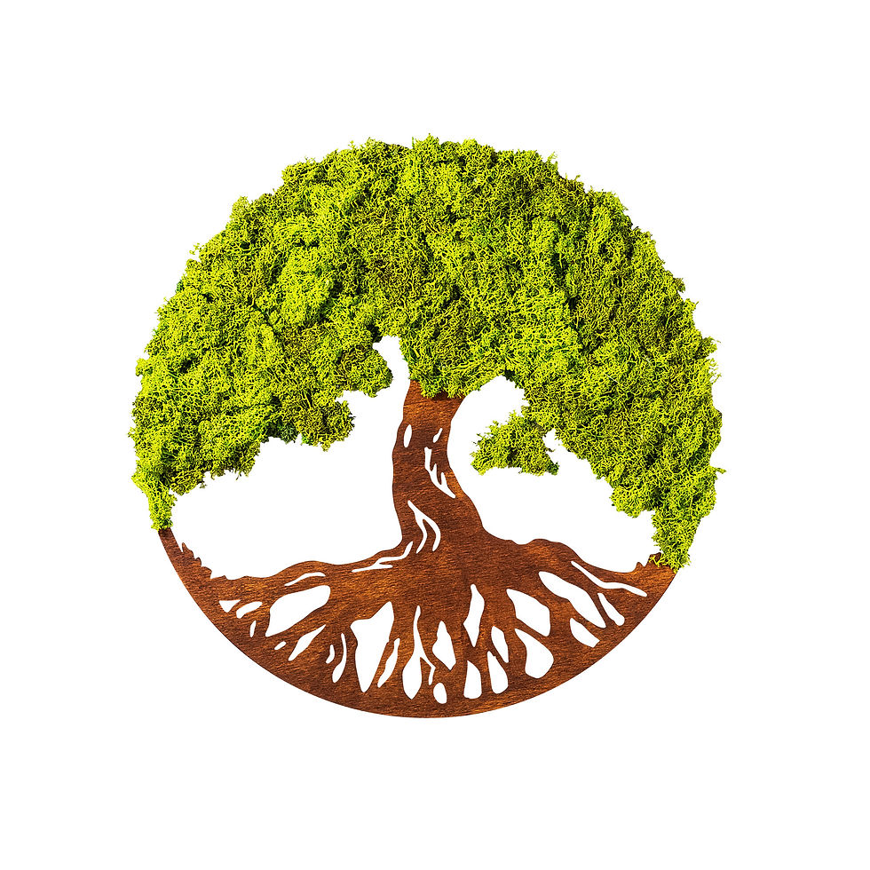 Thumbnail: Tree Of Life 3