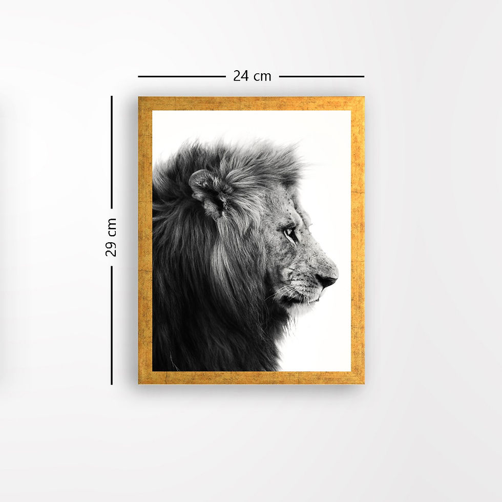 Thumbnail: AC199109744